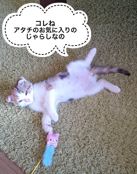 A2A28280-CE7F-42B5-A4E5-3E055CE0C71C