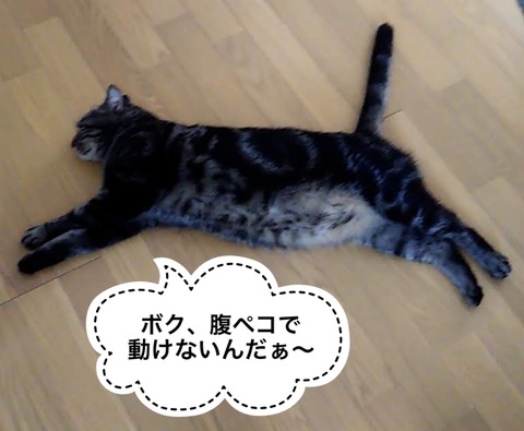 E5F9A1EC-5732-49AB-B18B-FB965235E4E1