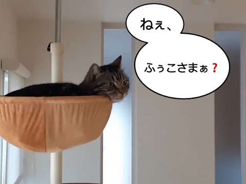 87432AA8-61EA-4777-ACBB-2A66C2AD32F1