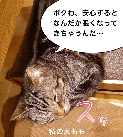 47A62BA4-0CB2-4D0A-8178-75169B8936E5