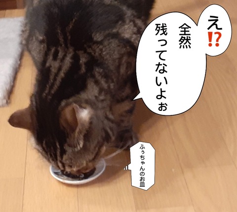 5F34F4B9-5A0F-4AD4-844B-64ED6CBCB1E1