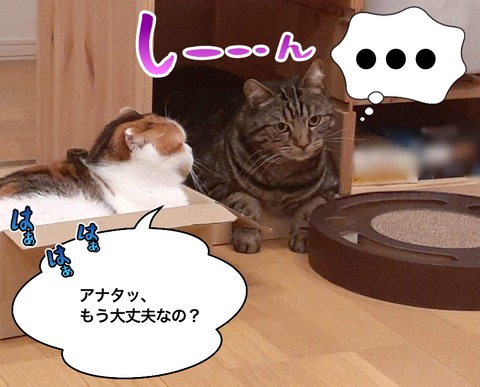4C7CF09A-20F2-412B-B046-DE8E14FF3D46