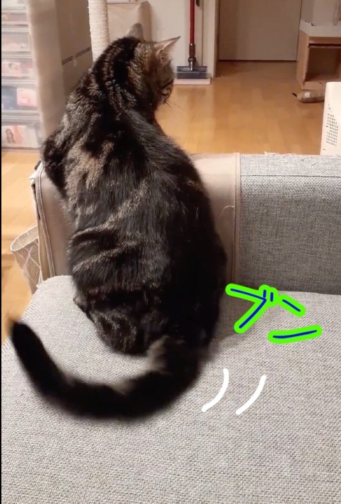 E6784F65-171C-4479-9575-DF7A0F7DA7D2