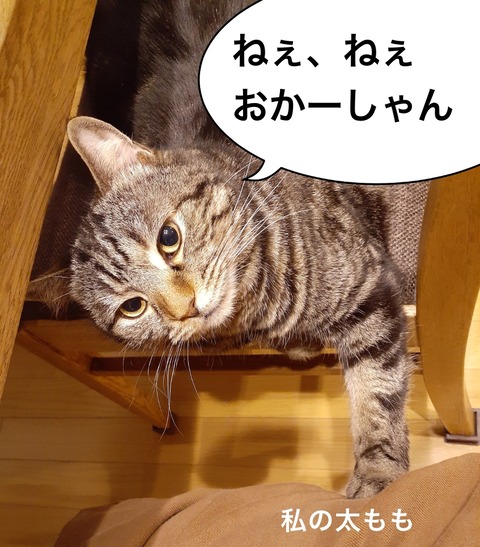 08B4DD81-0E54-47B6-A70C-53B67B2B7A4F