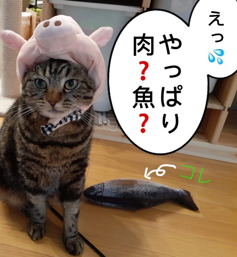 824E4135-D40B-46B3-9BDC-DDF24FD47018