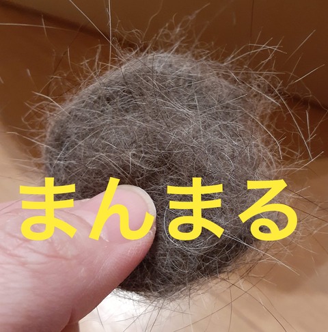 346FC365-3B42-4B17-A9ED-CF8A84095EBC
