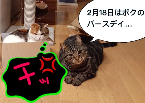 D42882E4-2EF0-4B70-9A0B-A9F9AF6E9311