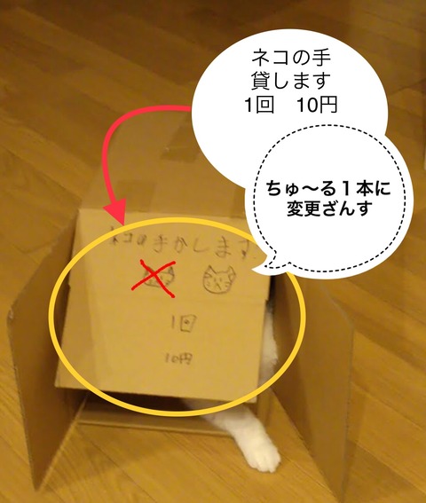 48C7715B-C3E1-4B34-894B-4207CD3D1DB4