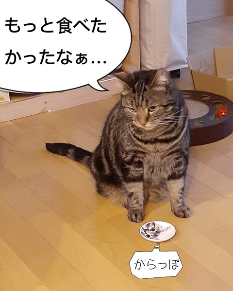 FD1F36B5-1E69-4E6C-B648-69D635C38205