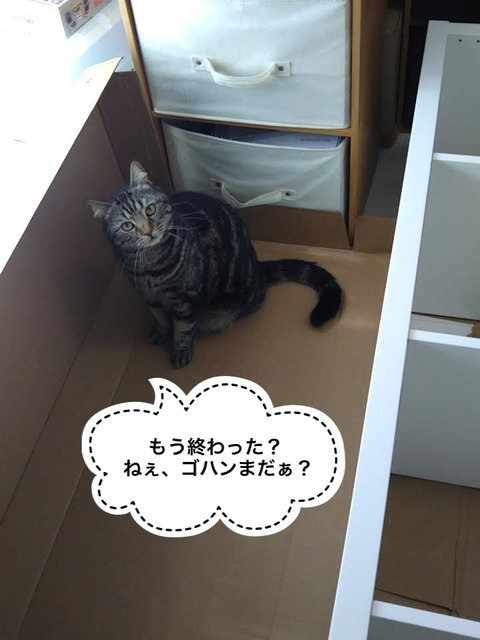 4759ED66-8A52-4563-B3B6-2A7C26F1F28F