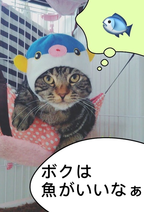 47B00A43-31DD-4B55-A163-979D29097F8C