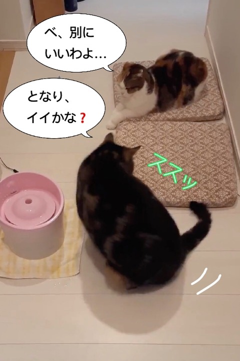 CE499C91-75C5-43E8-8F0E-C36CEB420247