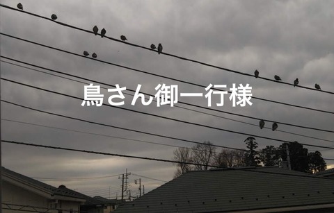 A59B840B-956C-4874-AA0B-044CC791350E