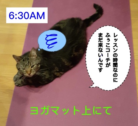 CECE0EF2-BBD5-4E58-BFE1-50942A62C116