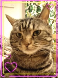 45A18C2F-7465-40EC-80E2-F0DC3D7C86F4