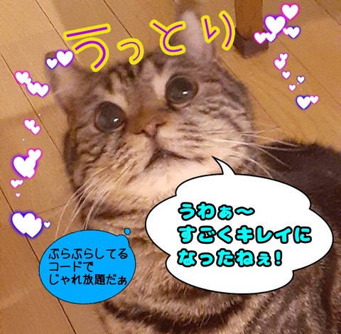 EF780176-5B85-46AF-8AA4-9579E05C36A8