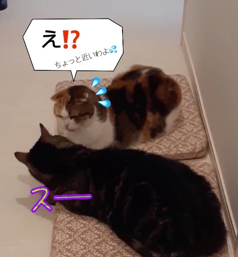 1327C74B-8B74-4BB2-BD4C-53B75301C7C9