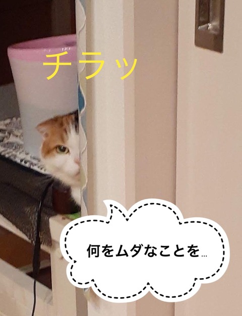 9EFECD1B-7A82-47E4-8D3B-0CE1DA24A7C1