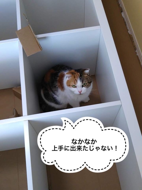 2D6CA95D-46BF-499D-9045-2EC7DED4C7E1