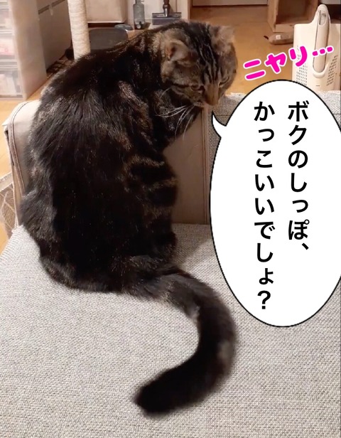 F6123C2B-477E-4F78-89FA-CAD725214803