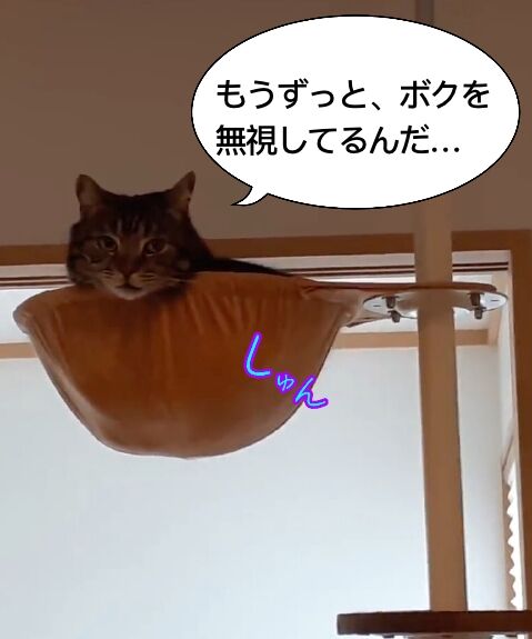 10A88746-854F-41E8-BAFC-15B2F129B931