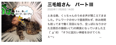 E2C3DC77-025E-4D86-B12B-40F12B88C931