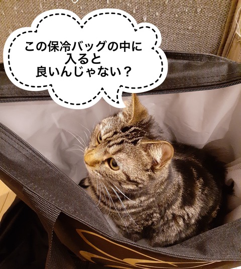 EA372FF8-AE0E-448C-A0F2-58242AB334B9