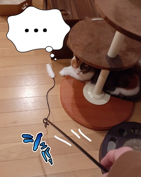 3F69B3C2-C353-4DB5-B596-E3D58F3118CD