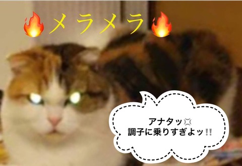 F2C1F5E8-B09B-4DA4-8C22-47B0A4608CDD