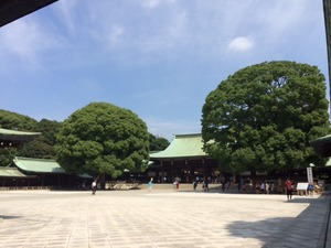 photo (6)