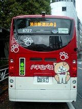 1c873842.jpg