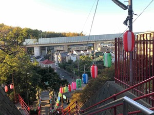 IMG_5184