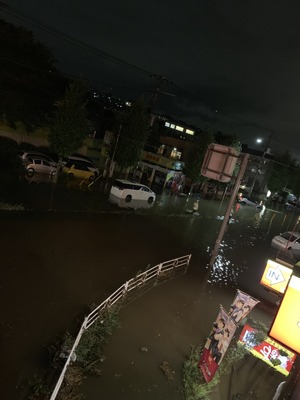 S__97943582