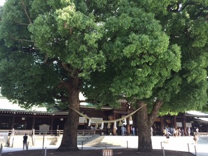 photo (5)