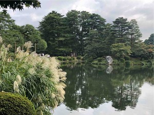 IMG_4220