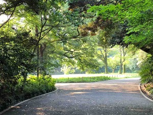 IMG_3924