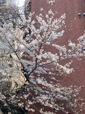 IMG_0920
