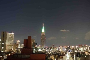 IMG_0516