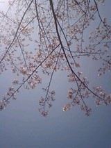 b349214f.jpg
