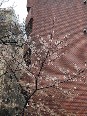 IMG_0915