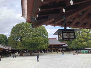 A9292EE0-19B8-4206-AA70-74CD0F8B82C8