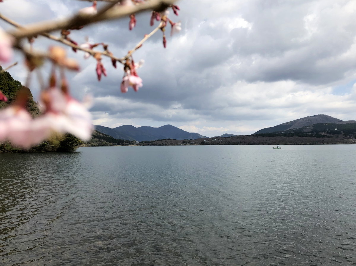 芦ノ湖 4 11 柴犬と暮らす山好きフライ釣人の日記 芦ノ湖 4 11 柴犬と暮らす山好きフライ釣人の日記