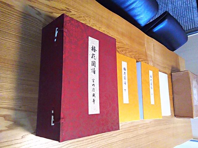 宮内庁蔵本「椿花図譜」1 : 株式会社 福箱 岩田眞理子のホームページ