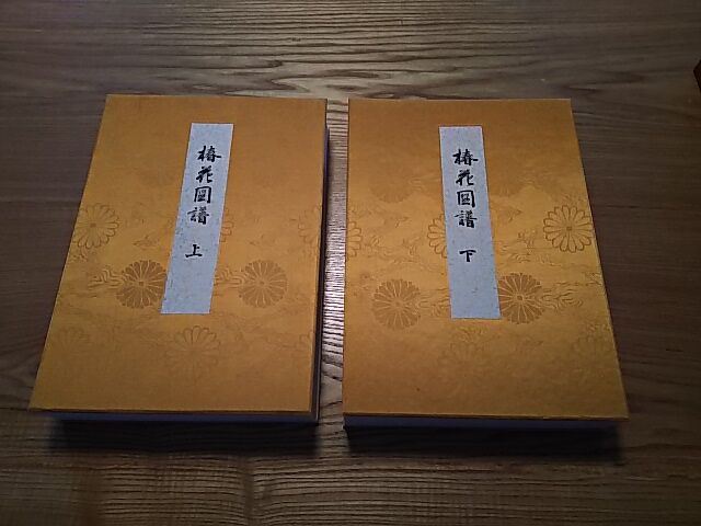 宮内庁蔵本「椿花図譜」1 : 株式会社 福箱 岩田眞理子のホームページ