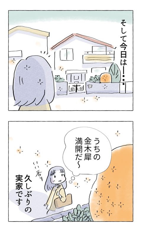 yasasisa71_4