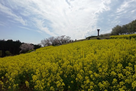 14-白木峰高原DSC06187