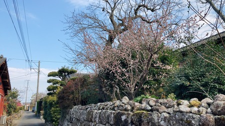 2022.02.18 雲仙市国見町 神代小路IMG_8489