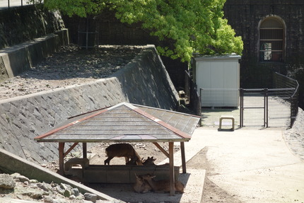 6-稲佐山DSC00102