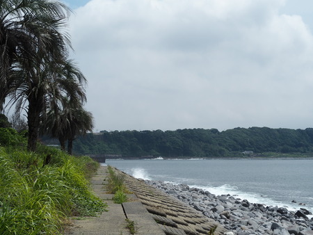 2023.06.10������Կ���Į����γ���P1019668