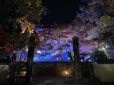 �¾���IMG_7005